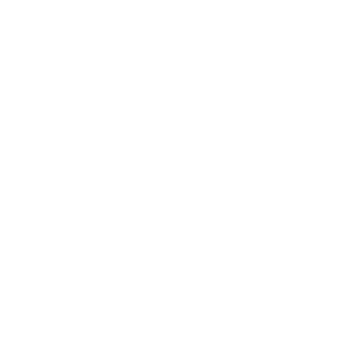 G4 Echelon - Security services client